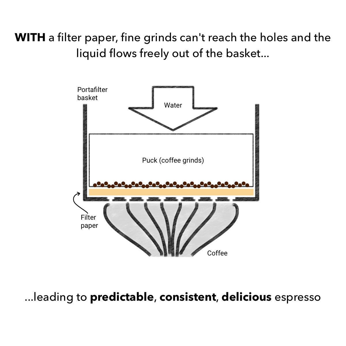 Diagram of a portafilter with filter paper, showing the filter paper preventing fine grinds of coffee from blocking the flow of liquid out of the basket, leading to predictable, consistent, delicious espresso